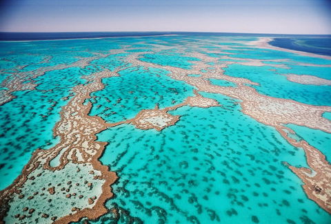 Poinciana 112 - Accommodation Gold Coast 20