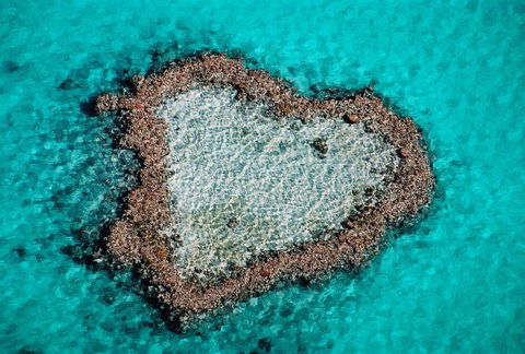 Poinciana 112 - Accommodation Gold Coast 21