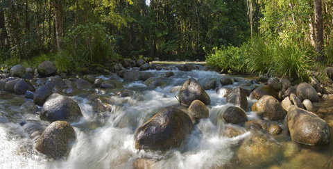 Silky Oaks Lodge - 1 Gold Coast 20