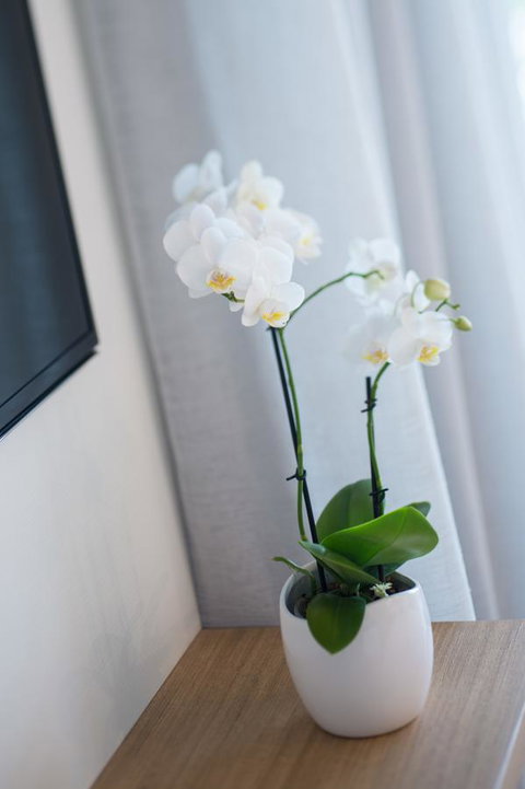 Heart Hotel And Gallery Whitsundays - 1 Gold Coast 28