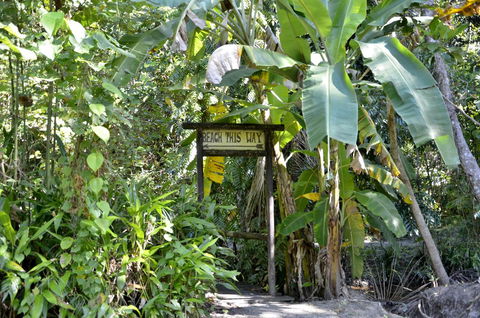 PK\'s Jungle Village - Accommodation Gold Coast 23