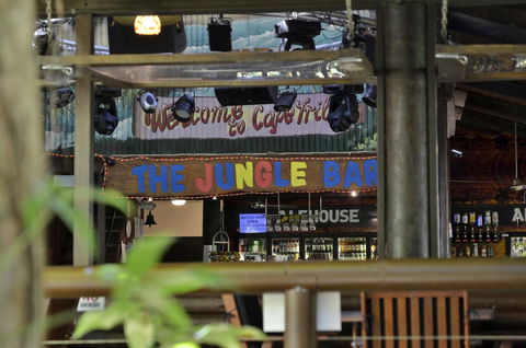 PK\'s Jungle Village - Accommodation Gold Coast 20