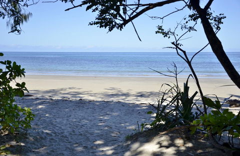 PK\'s Jungle Village - Accommodation Gold Coast 26