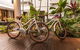 The Reef House Adults Retreat - Enjoy 28 Complimentary Inclusions - thumb 12