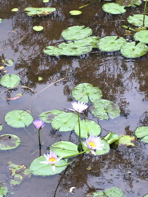 The Hideaway Agnes Water (Adults Only) - Accommodation Gold Coast 37