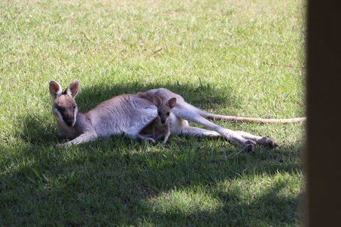 The Hideaway Agnes Water (Adults Only) - Accommodation Gold Coast 42