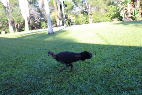 The Hideaway Agnes Water (Adults Only) - Accommodation Gold Coast 41