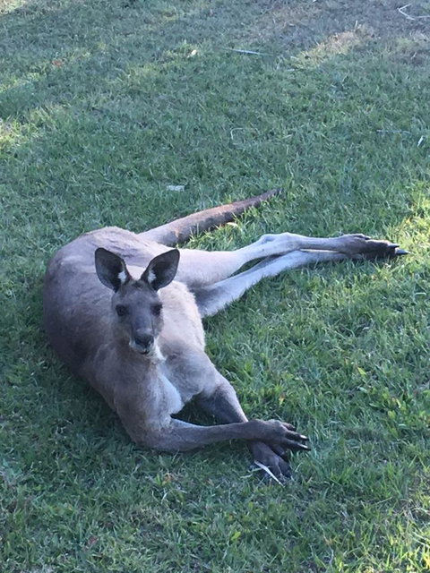 The Hideaway Agnes Water (Adults Only) - Accommodation Gold Coast 33