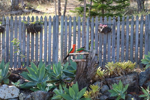 The Hideaway Agnes Water (Adults Only) - Accommodation Gold Coast 40