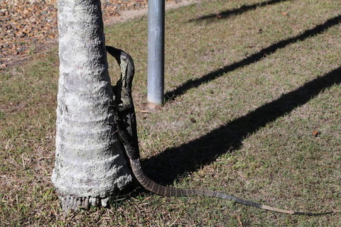 The Hideaway Agnes Water (Adults Only) - Accommodation Gold Coast 43