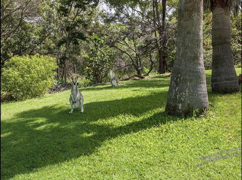 The Hideaway Agnes Water (Adults Only) - Accommodation Gold Coast 23