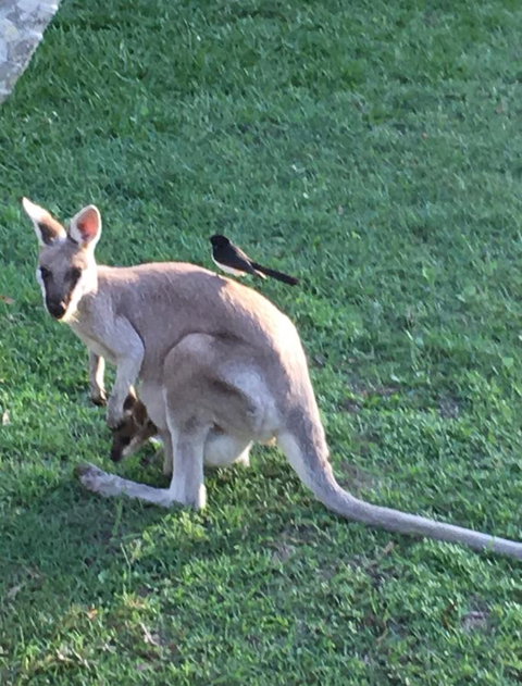 The Hideaway Agnes Water (Adults Only) - Accommodation Gold Coast 8