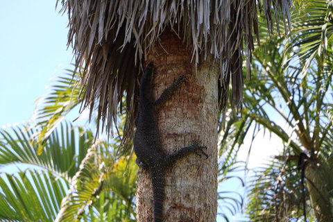 The Hideaway Agnes Water (Adults Only) - Accommodation Gold Coast 44