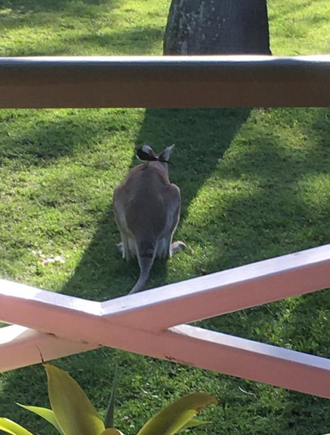 The Hideaway Agnes Water (Adults Only) - Accommodation Gold Coast 9