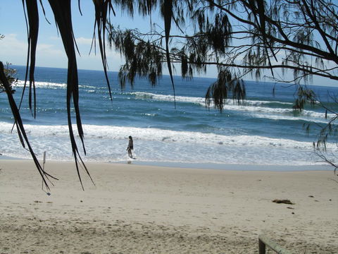 Le Beach Apartments - Gold Coast 4U 16