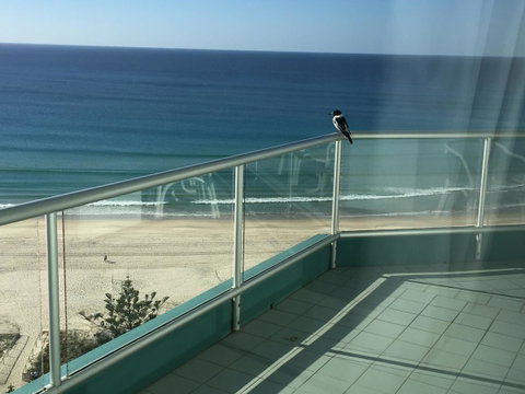 Ocean Plaza Resort - Accommodation Gold Coast 28