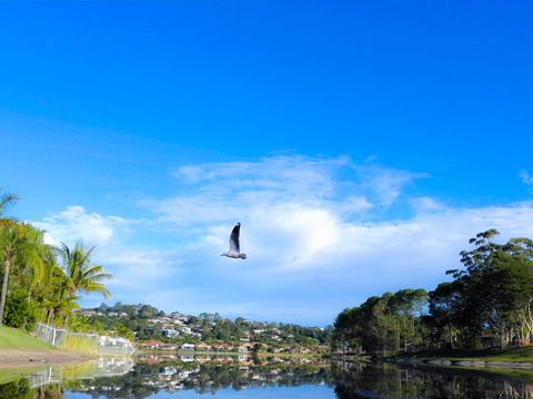 Bay Of Palms - Accommodation Gold Coast 18