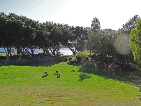 Waterfront Resort Villa With Buggy - Accommodation Gold Coast 32