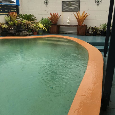 Black Marlin Motel - Accommodation Gold Coast 25