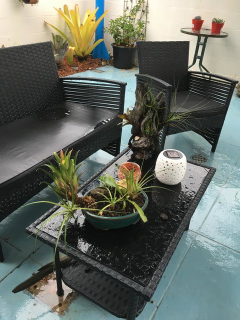 Black Marlin Motel - Accommodation Gold Coast 3