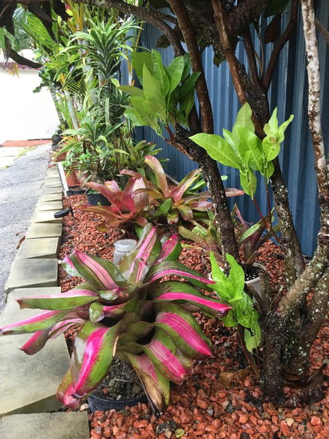Black Marlin Motel - Accommodation Gold Coast 20