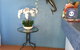 Black Marlin Motel - thumb 1
