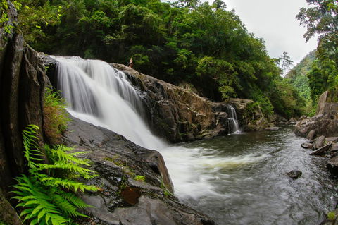 Coral Tree Inn - Accommodation Gold Coast 40