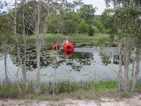 1770 Southern Cross Travellers Retreat - Gold Coast 4U 16