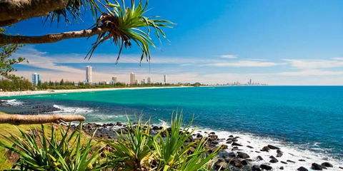 Private Guest Suite High On Currumbin Hill - 1 Gold Coast 23