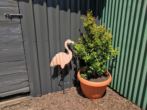 Lilly Pilly House - Gold Coast 4U 10