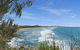 Pandanus Coolum Beach - thumb 17
