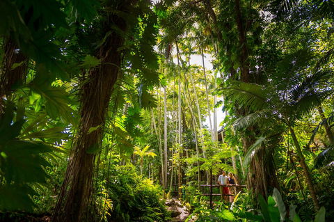 Cairns Colonial Club Resort - Accommodation Gold Coast 22