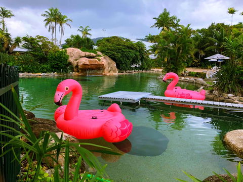 Cairns Colonial Club Resort - Accommodation Gold Coast 6