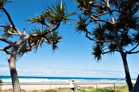 Grande Florida Beachside Resort - Gold Coast 4U 34