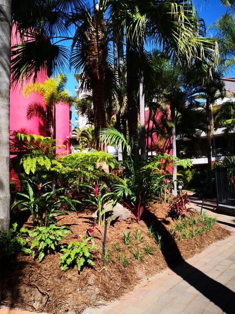 Enderley Gardens Resort - Accommodation Gold Coast 12