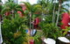 Enderley Gardens Resort - thumb 34