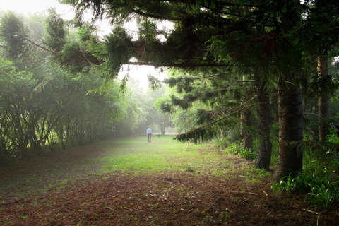 Sharlynn By The River - Accommodation Gold Coast 2