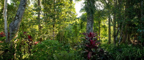 Sharlynn By The River - Accommodation Gold Coast 5