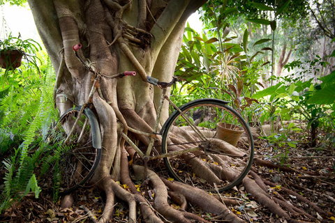 Sharlynn By The River - Accommodation Gold Coast 27