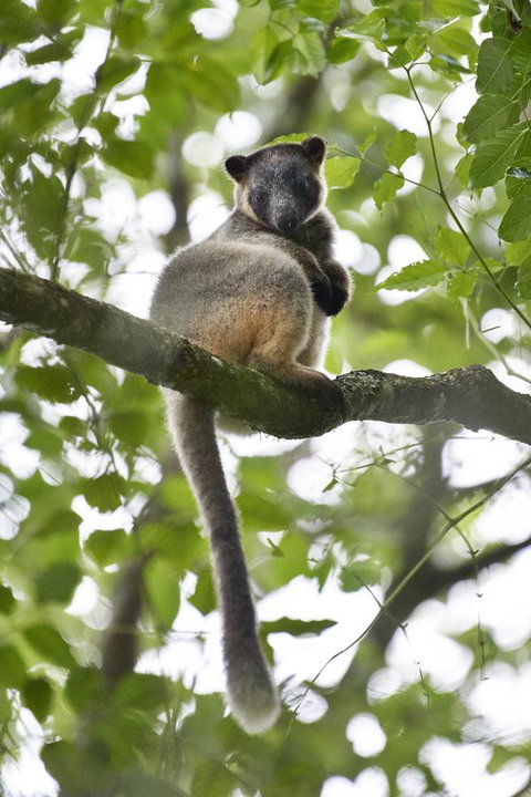 Sharlynn By The River - Accommodation Gold Coast 28