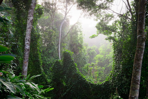 Sharlynn By The River - Accommodation Gold Coast 12