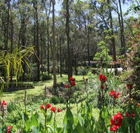Werekataba - Accommodation Gold Coast