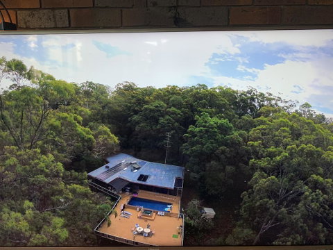 Where The Forest Meets The Sea On The Gold Coast - Accommodation Gold Coast 1