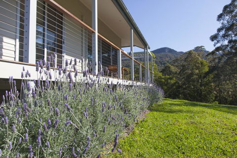 Wilderberry Cottage - Gold Coast 4U 3