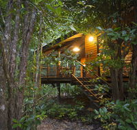Wildwood - Accommodation Gold Coast