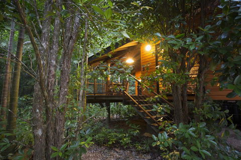 Wildwood - Accommodation Gold Coast 0