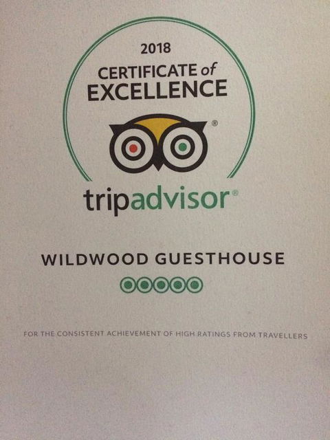 Wildwood Guesthouse - Gold Coast 4U 3