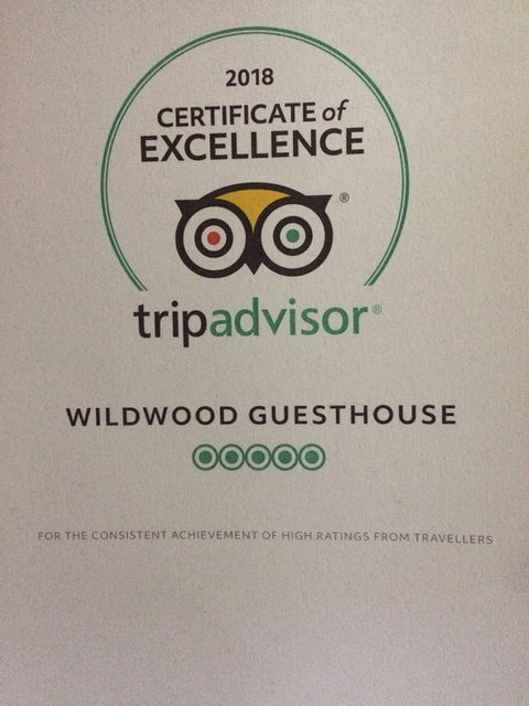 Wildwood Guesthouse - Accommodation Gold Coast 3