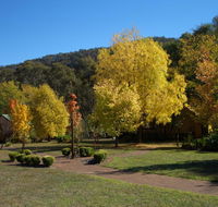 Willowlake Cottages - Gold Coast 4U