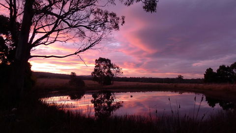 Wind Song Bed & Breakfast - Accommodation Gold Coast 0